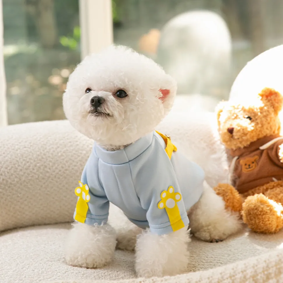 DOWNYPAWS - Sweat - shirt pour chien, décoré d'un sac d'ours de dessin animé