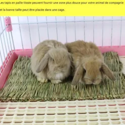DOWNYPAWS - Tapis d'herbe - tissé à la main, 6 pièces pour petits animaux
