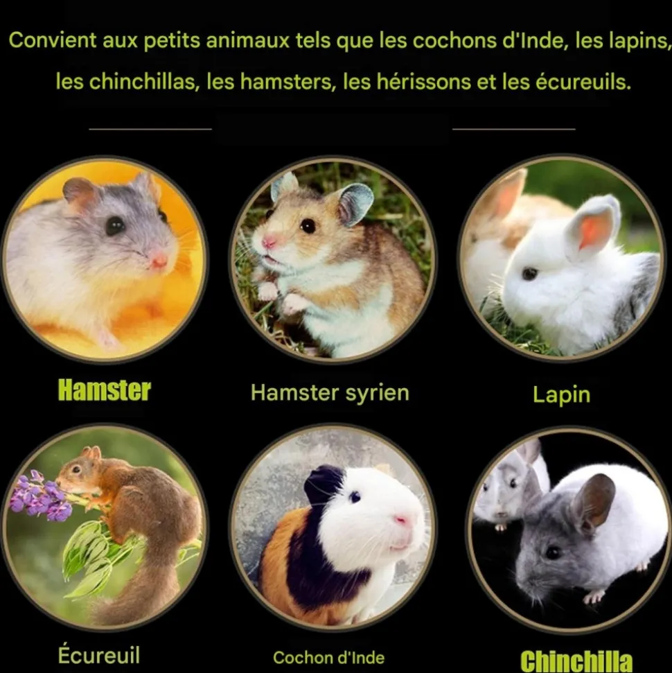 DOWNYPAWS - Tapis d'herbe - tissé à la main, 6 pièces pour petits animaux