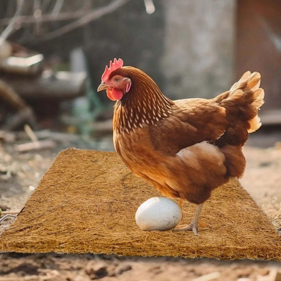 DOWNYPAWS - Tapis en fibre de noix de coco pour nid d'oiseau et animal de compagnie 50*50cm 5 pièces