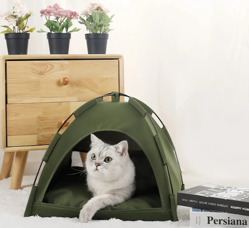 DOWNYPAWS - Tente fraîche d'été pliable pour animaux de compagnie: nid d'activité pour chats et chiens