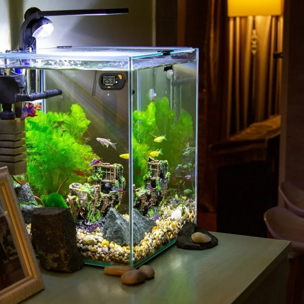 DOWNYPAWS - Thermomètre digital aquarium/terrarium