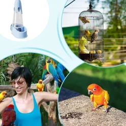 DTOPBUYAGE - Abreuvoir automatique oiseaux antitaches