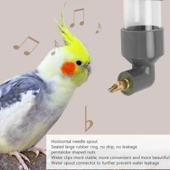 DTOPBUYAGE - Abreuvoir automatique pour divers oiseaux