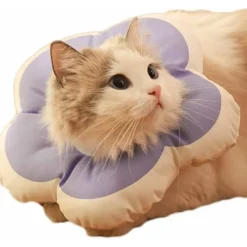 DTOPBUYAGE - Collier anti - morsure réglable doux léger pour chats violet xs