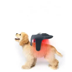 DTOPBUYAGE - Dtopbuyage ceinturon de physiothérapie à infrarouge pour chats et chiens