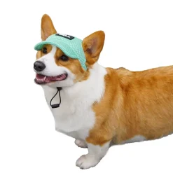 DTOPBUYAGE - Dtopbuyage chapeau de soleil pour chiens
