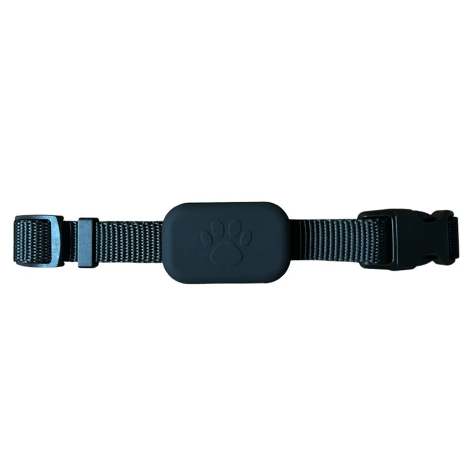 DTOPBUYAGE - Dtopbuyage collier de suivi pour animaux de compagnie