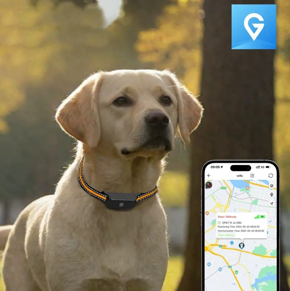 DTOPBUYAGE - Dtopbuyage collier gps pour animaux de compagnie