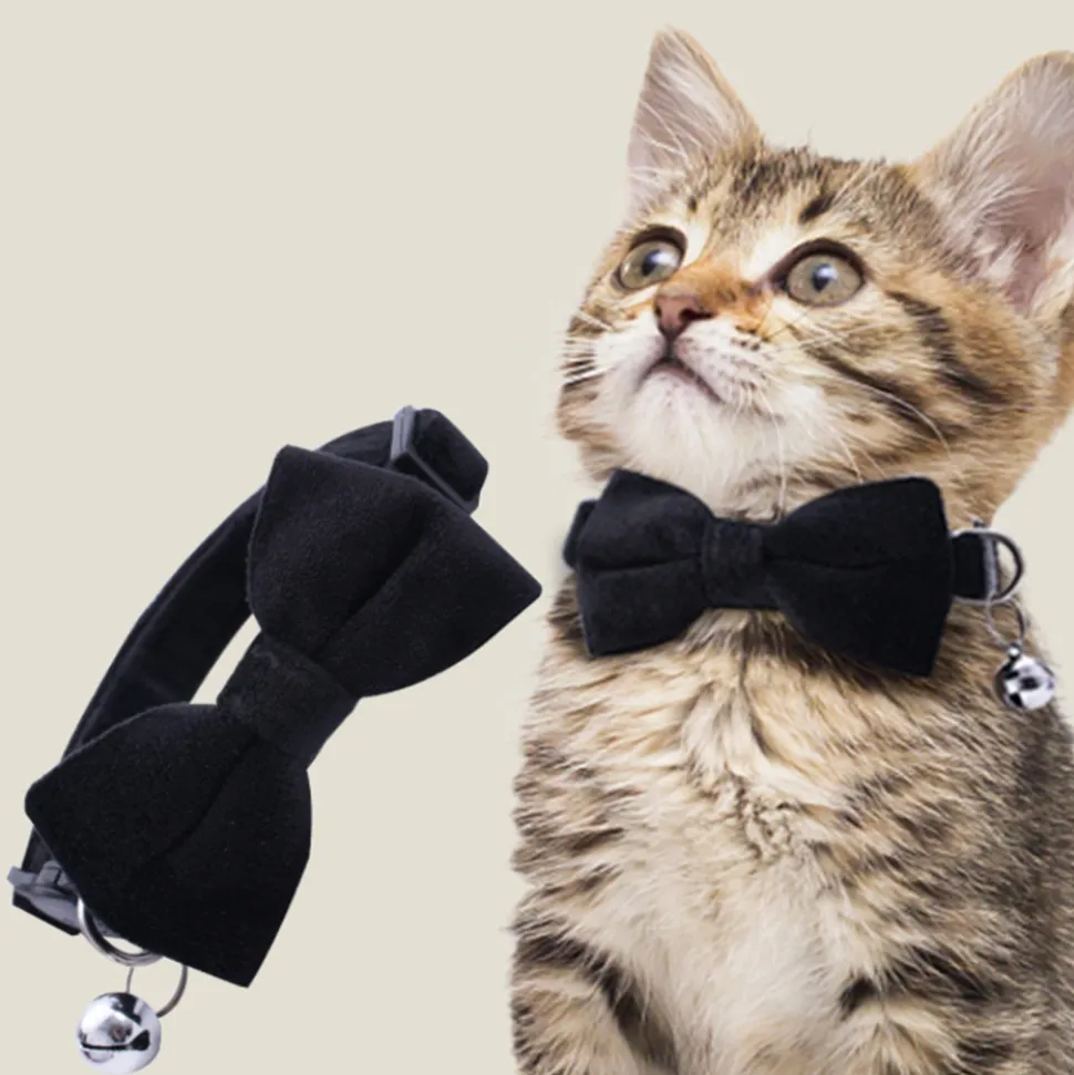 DTOPBUYAGE - Dtopbuyage collier nœud papillon pour chat