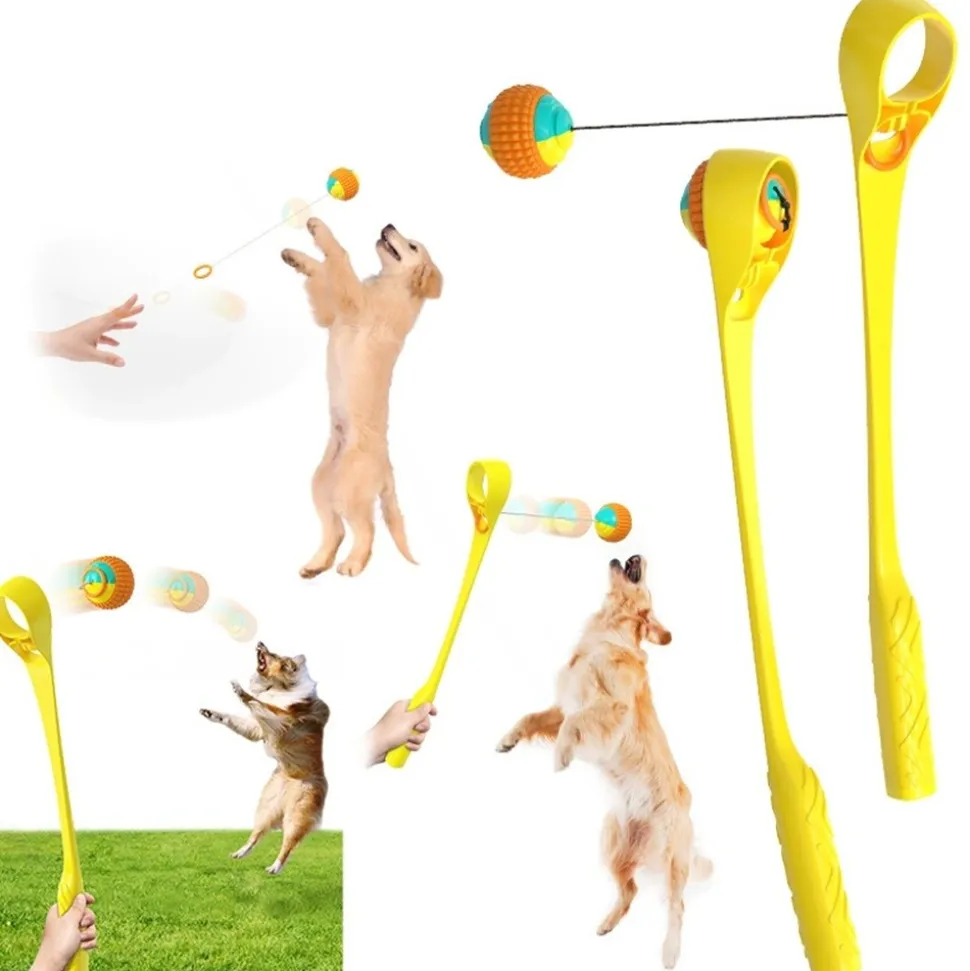 DTOPBUYAGE - Dtopbuyage jouet interactif pour chien