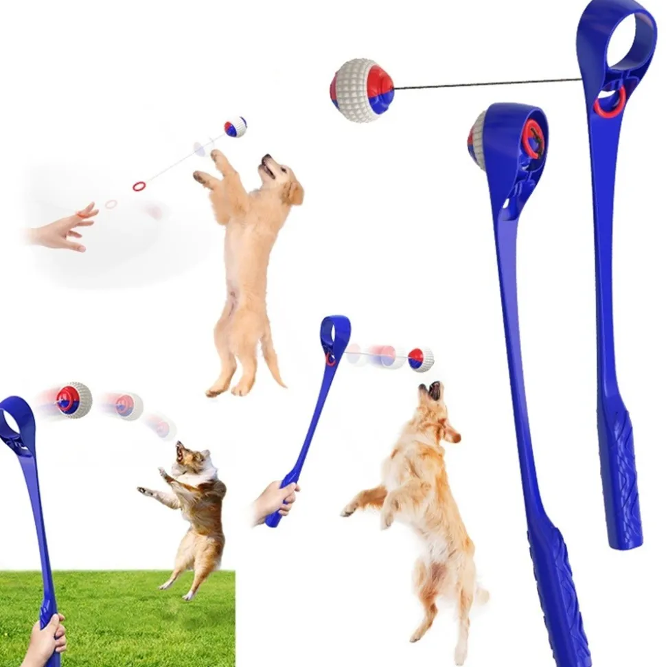 DTOPBUYAGE - Dtopbuyage jouet interactif pour chien