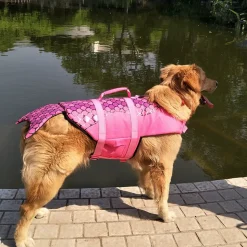 DTOPBUYAGE - Dtopbuyage vestes de sauvetage pour chiens