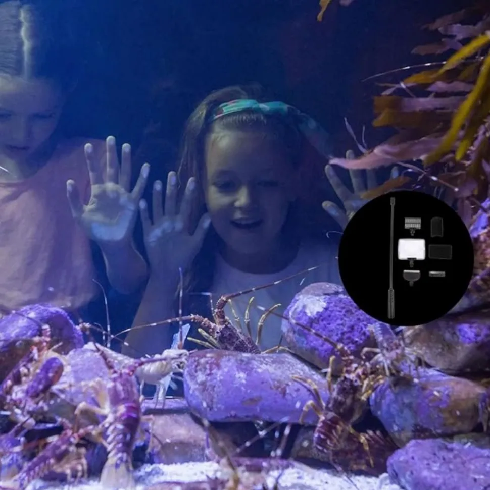 DTOPBUYAGE - Ensemble outils nettoyage aquarium polyvalent