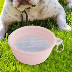 DTOPBUYAGE - Gamelle pliable pour chien en voyage dtopbuyage