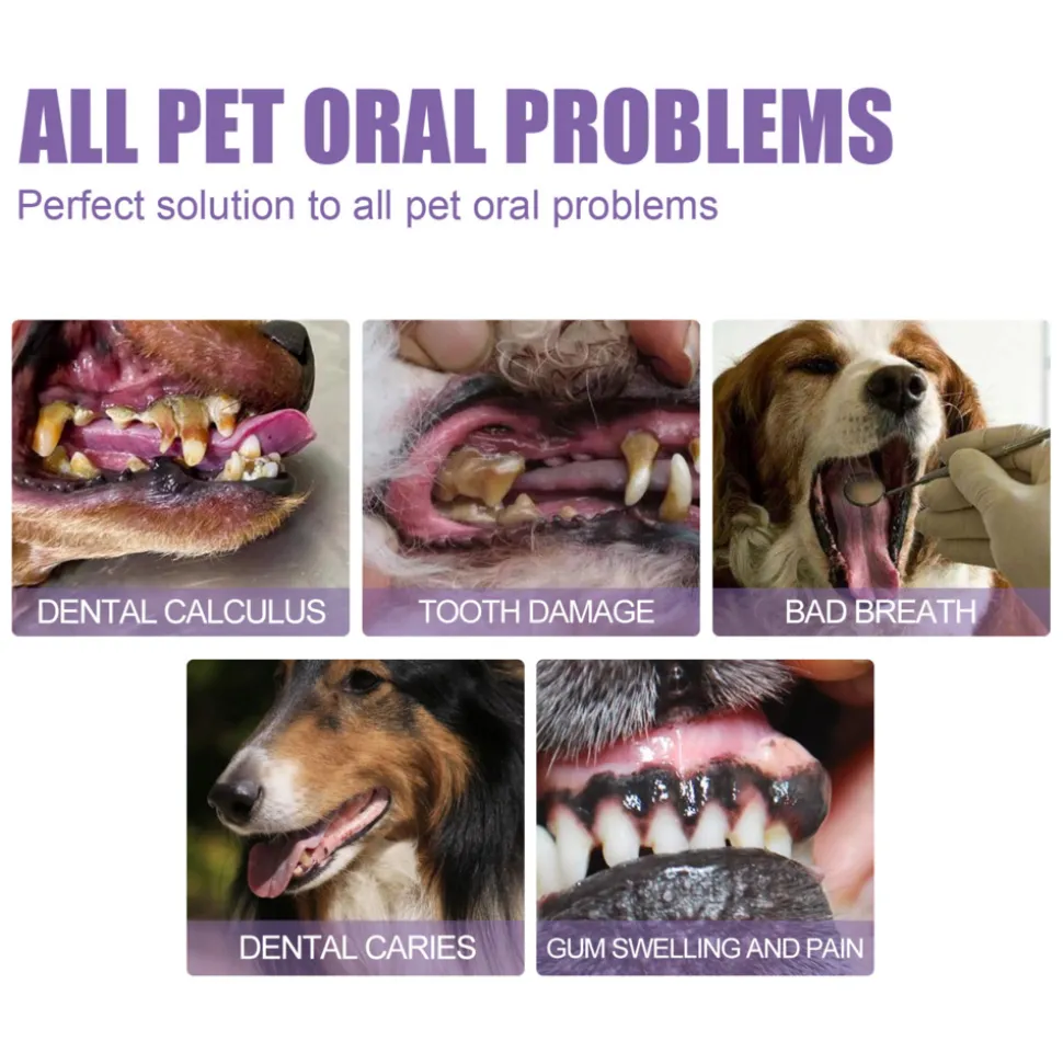 DTOPBUYAGE - Gel de soin buccal pour animaux de compagnie, 3 ml * 2 pièce - dtopbuyage
