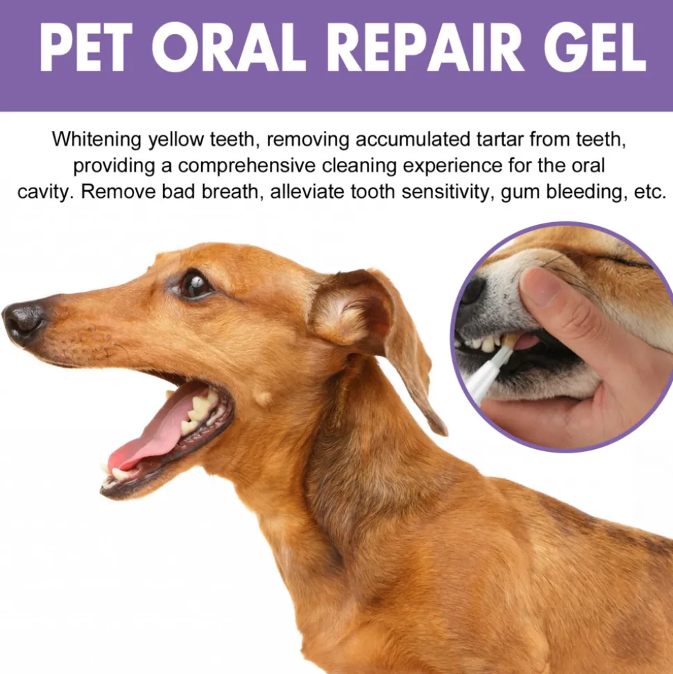 DTOPBUYAGE - Gel de soin buccal pour animaux de compagnie, 3 ml * 2 pièce - dtopbuyage