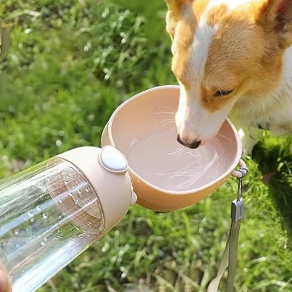 DTOPBUYAGE - Gourde multifonction pour chien en déplacement