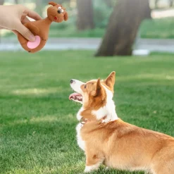 DTOPBUYAGE - Jouet couineur pour chien 4 pièces dtopbuyage