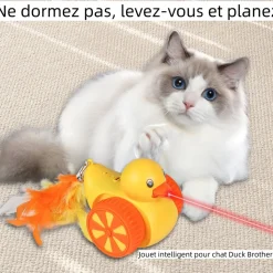 DTOPBUYAGE - Jouet laser intelligent pour chat et canard dtopbuyage