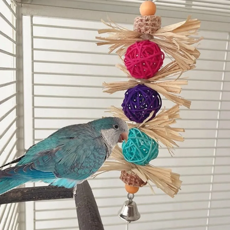 DTOPBUYAGE - Jouet mâcher oiseaux rotin coloré pour meulage dents