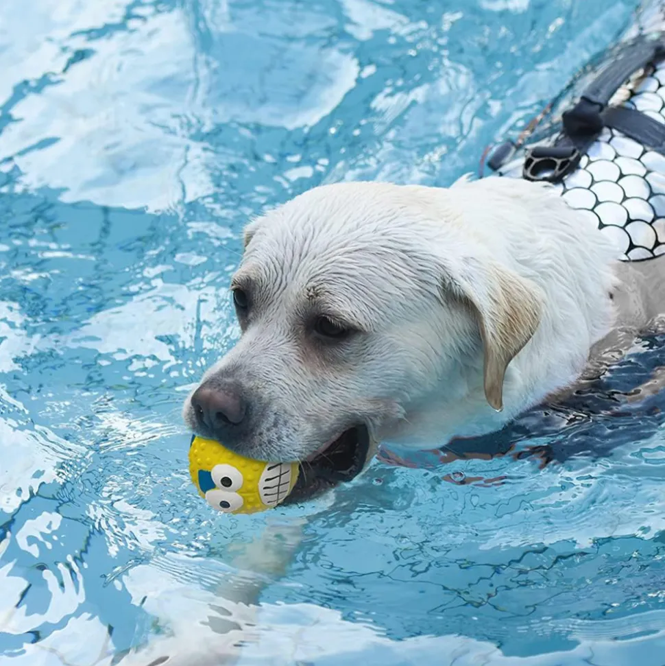 DTOPBUYAGE - Jouets de dentition pour chien - jouets à balles - 4 pièces