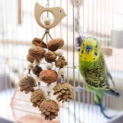 DTOPBUYAGE - Jouets mâcher oiseaux bois pomme pin