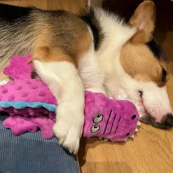 DTOPBUYAGE - Jouets pour chien - en peluche, sonores dtopbuyage
