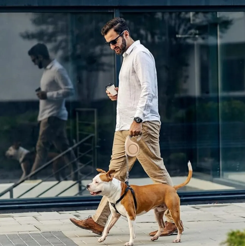DTOPBUYAGE - Laisse extensible verrouillée 5m dorée chien