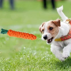 DTOPBUYAGE - Lot 3 jouets corde durables pour chiens orange