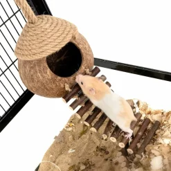 DTOPBUYAGE - Nid et jouet pour oiseaux et hamsters avec échelle