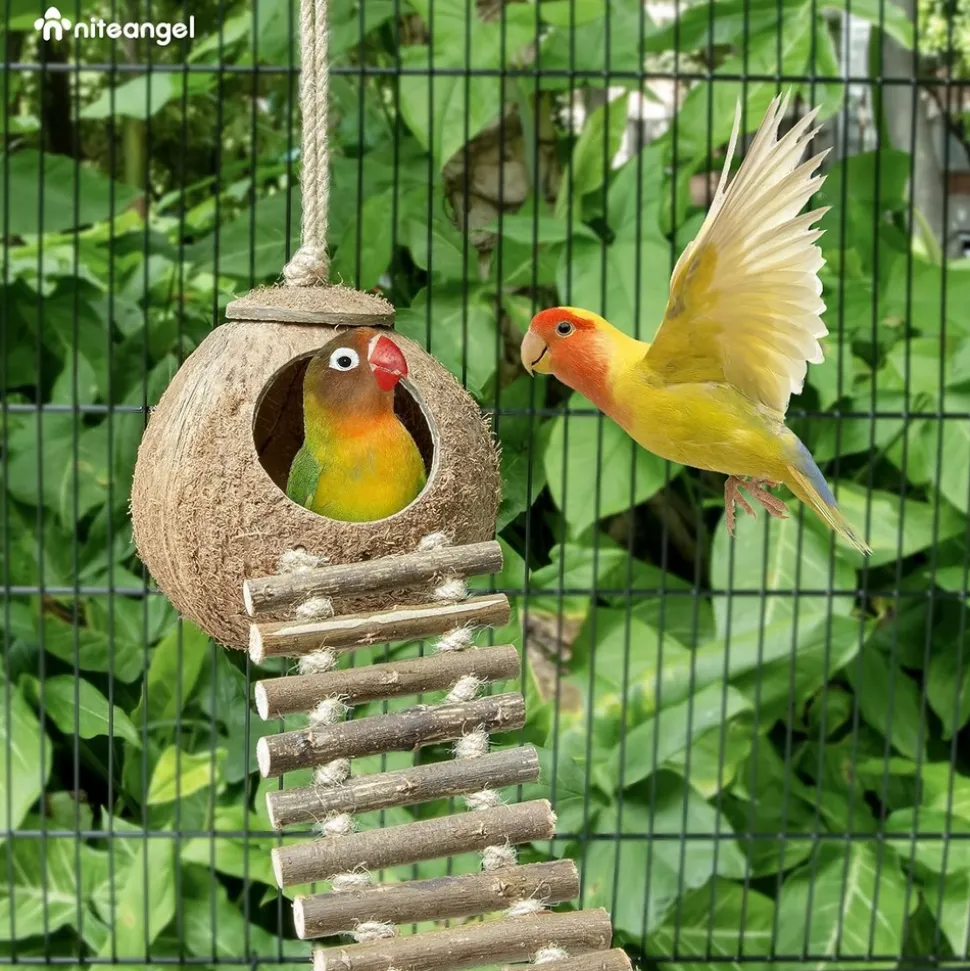 DTOPBUYAGE - Nid et jouet pour oiseaux et hamsters avec échelle