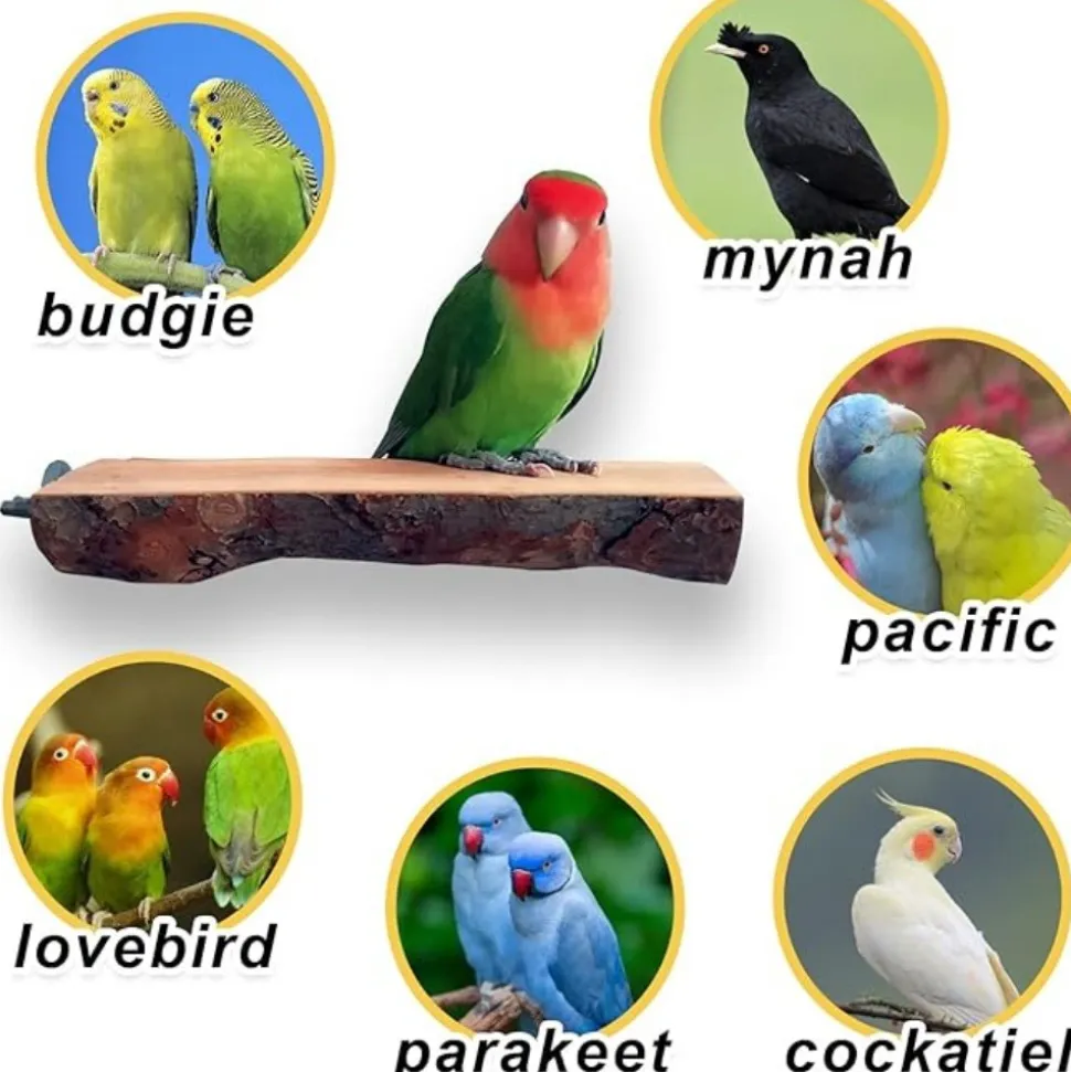 DTOPBUYAGE - Perchoirs bois naturel oiseaux moyen