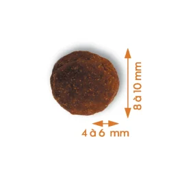 EMPREINTES - Croquettes pour Chat adulte stérilisé au saumon sans céréales 3kg