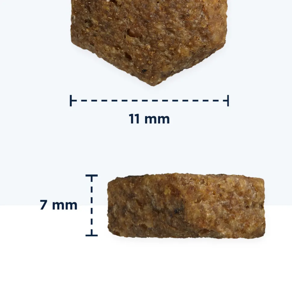 EUKANUBA - Croquettes au poulet, pour chiot de grande taille - 12kg