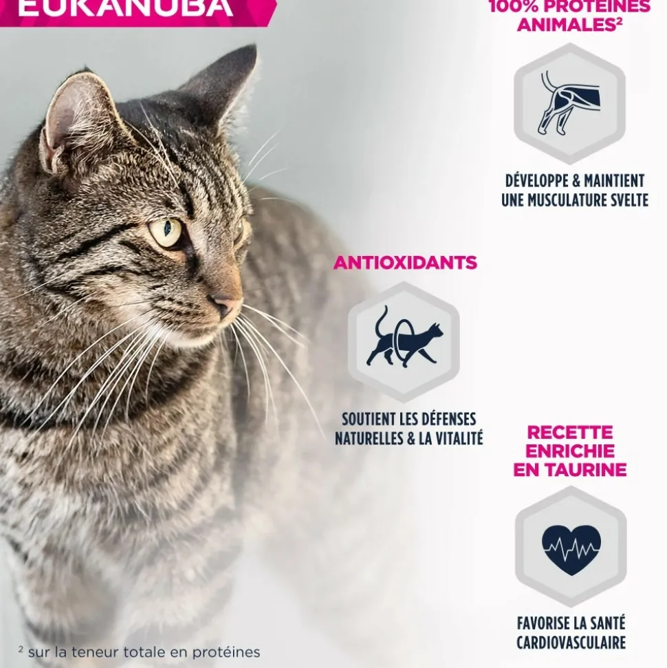 EUKANUBA - Eukanuba - pâtées sans céréales au poulet pour chat 85g