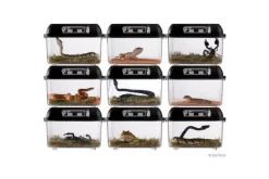 EXO TERRA - Boite d'élevage - breeding box - large - boîte de transport ou d'élevage pour reptiles (lézards, serpents, tortues), amphibiens