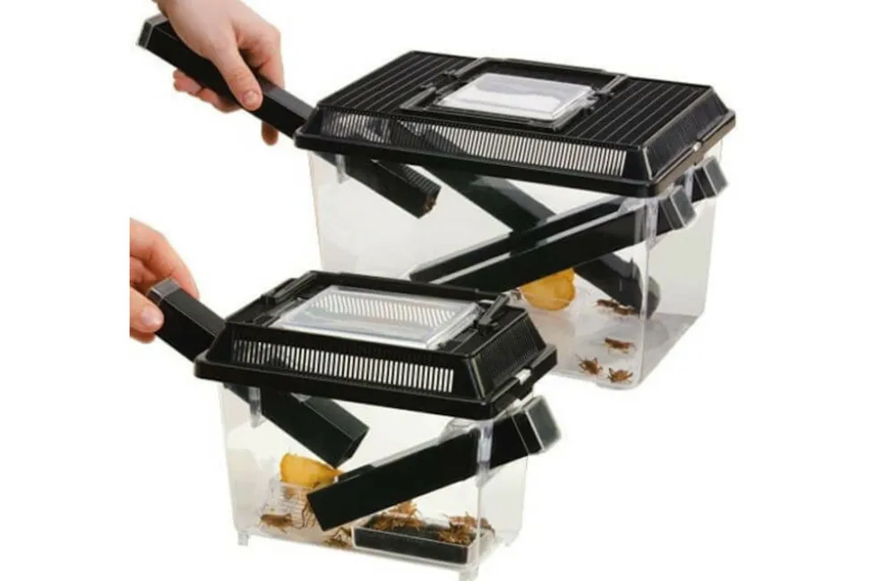EXO TERRA - Boite pour grillons vivants - cricket pen large - terrarium plastique pour l'élevage des insectes