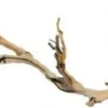 EXO TERRA - Branche de vigne sable reptiles moyen