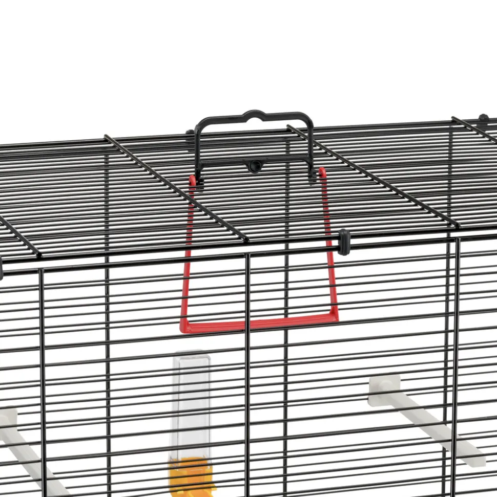 Ferplast cage oiseau piano 4, cage canari oiseaux, avec mangeoires, abreuvoir pour oiseaux, 59 x 33 x h 55 cm, avec accessoires,