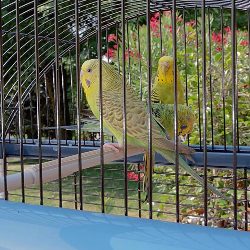 Ferplast cage pour canaris et autres petits oiseaux exotiques palladio 4, design élégant avec toit panoramique, accessoires et
