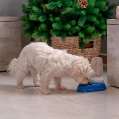 Ferplast distributeur de nourriture ou d'eau pour chiens et chats azimut 600, distributeur de nourriture sèche ou eau 0,6 litre,