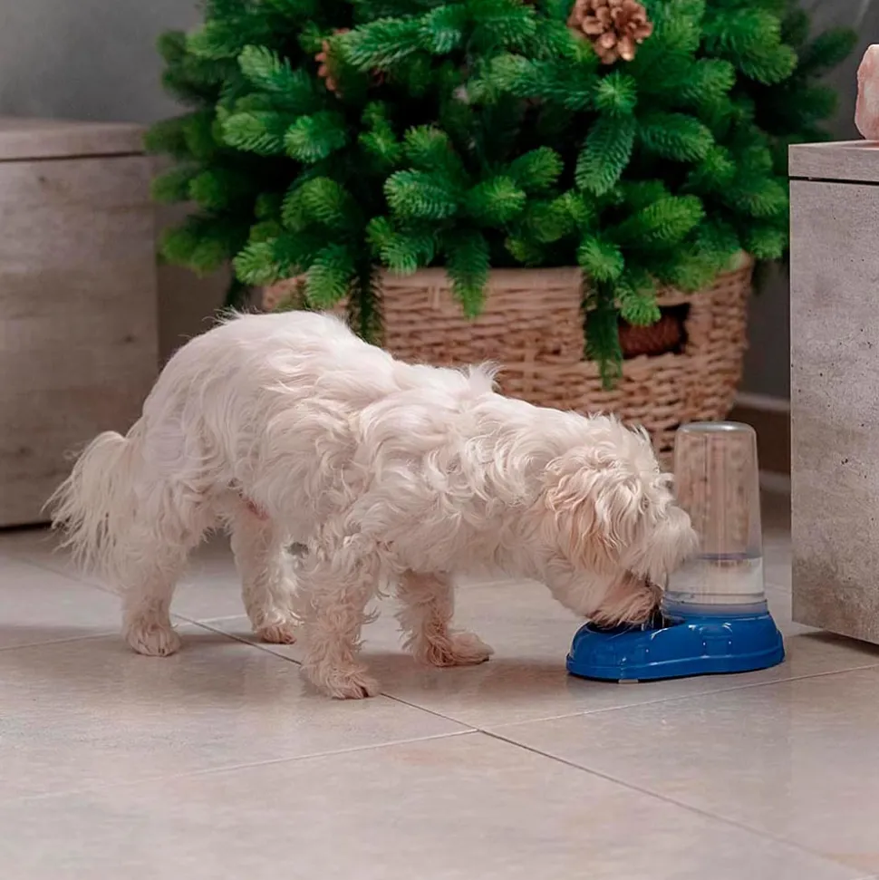Ferplast distributeur de nourriture ou d'eau pour chiens et chats azimut 600, distributeur de nourriture sèche ou eau 0,6 litre,