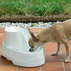 Ferplast fontaine pour chats et chiens de petite taille vega, 2 litres, avec protection antibactérienne permanente, effet source