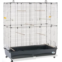 Ferplast volière cage à oiseaux planeta large grande cage pour canaris, pinsons, perruches ondulées, inséparables, métal,