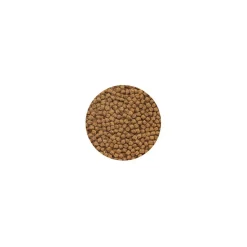 FLAMINGO - Aliment complet pour cichlidés 500 ml 215 g, poissons d'ornement