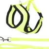 FLAMINGO - Harnais avec laisse couleur jaune fluo pour chaton