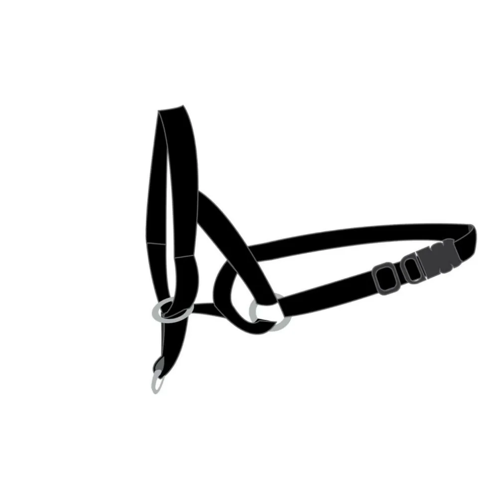 FLAMINGO - Harnais de dressage de tête museliere- noir xs - pour chien