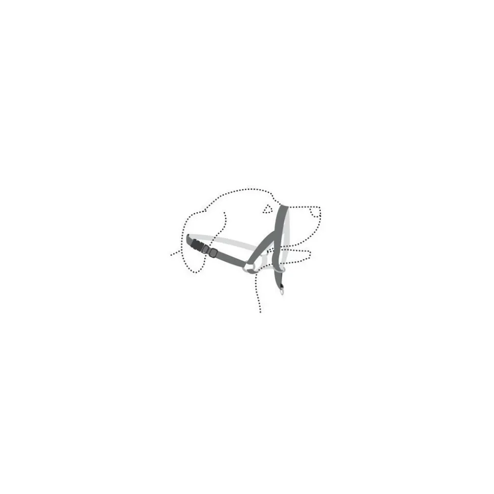 FLAMINGO - Harnais de dressage de tête museliere- noir xs - pour chien