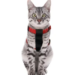 FLAMINGO - Harnais de sécurité voiture + laisse rouge 15 mm pour chat